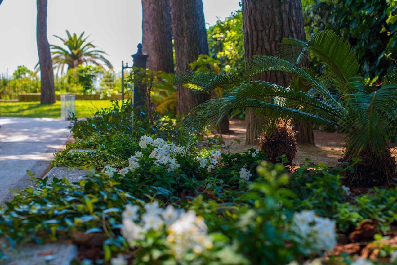 Tra Gli Alberi E Il Mare Bed and Breakfast Sirolo Εξωτερικό φωτογραφία