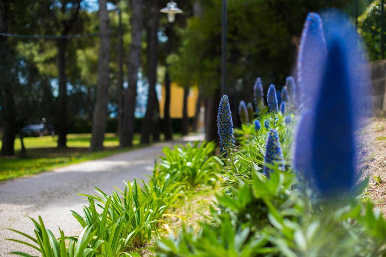 Tra Gli Alberi E Il Mare Bed and Breakfast Sirolo Εξωτερικό φωτογραφία